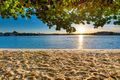 Property photo of 1/27 Norfolk Avenue Surfers Paradise QLD 4217
