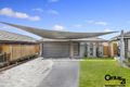 Property photo of 16 Cradle Avenue Minto NSW 2566