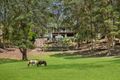 Property photo of 56 Lara Drive Buderim QLD 4556