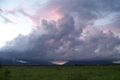 Property photo of 479 Hodel Road Giru QLD 4809