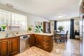 Property photo of 14 Kidman Avenue Belmont VIC 3216