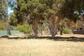 Property photo of 52 Furphy Avenue Kialla VIC 3631