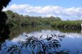 Property photo of 11 Weyba Park Drive Noosa Heads QLD 4567