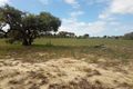 Property photo of 109 Seaflower Way Gabbadah WA 6041