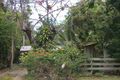 Property photo of 6 Poinsettia Street Holloways Beach QLD 4878