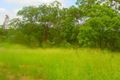 Property photo of 207 Red Cedar Road Pullenvale QLD 4069