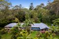Property photo of 19 Wattlebird Court Currumbin Valley QLD 4223