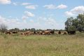 Property photo of LOT 12 Bowhay Road St George QLD 4487