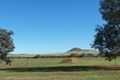 Property photo of 13 Hill River Way Moonyoonooka WA 6532