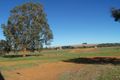 Property photo of 13 Hill River Way Moonyoonooka WA 6532