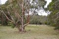 Property photo of 3 Forest Court Enfield VIC 3352
