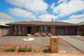 Property photo of 20 Korinthos Street Renmark SA 5341