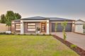 Property photo of 9 Pianta Parade Irymple VIC 3498