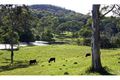 Property photo of 79 Eumundi Range Road Eumundi QLD 4562