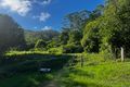 Property photo of 386 Harper Creek Road Conondale QLD 4552