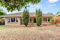 Property photo of 16 Hooking Avenue Royston Park SA 5070