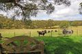 Property photo of 330 Ferndale Road Bundanoon NSW 2578
