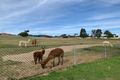 Property photo of 15 Flamingo Drive Cameron Park NSW 2285