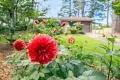 Property photo of 4 Belvidere Avenue Blackheath NSW 2785