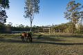 Property photo of 30 Mattons Road Avondale QLD 4670