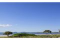 Property photo of 13 Todd Avenue Yeppoon QLD 4703