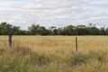 Property photo of 56 McNultys Road Beebo QLD 4385