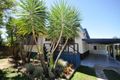 Property photo of 7 Musgrave Street Halifax QLD 4850
