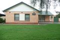 Property photo of 18 Poplar Crescent Campbelltown SA 5074