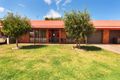 Property photo of 2/5 Elizabeth Street Echuca VIC 3564