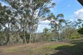 Property photo of 573 Charleys Gully Road Freestone QLD 4370