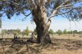 Property photo of 3-5 Grafton Street Red Range NSW 2370