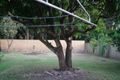 Property photo of 14 Bethel Street Toongabbie NSW 2146