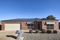 Property photo of 7 Triplett Avenue Ascot VIC 3551