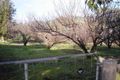 Property photo of 4 Bailey Heights Balingup WA 6253