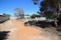 Property photo of 29 Dridan Avenue Renmark SA 5341