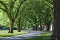 Property photo of 4 Parkside Street Malvern VIC 3144