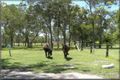 Property photo of 95 River Heads Road Booral QLD 4655