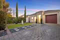 Property photo of 19 Innes Road Windsor Gardens SA 5087