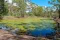 Property photo of 66-74 Wandearah Road Logan Village QLD 4207