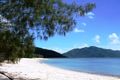 Property photo of 53 Gloucester Avenue Hideaway Bay QLD 4800
