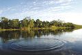 Property photo of 14 Warrill Place Kelso QLD 4815