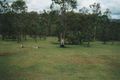 Property photo of 13 Valray Place Samford Valley QLD 4520