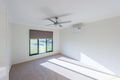 Property photo of 43 Pepper Tree Circuit Maroochydore QLD 4558