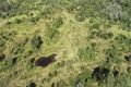 Property photo of 19 Coleman Road Mulgowie QLD 4341