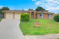 Property photo of 128 Pohon Drive Tanah Merah QLD 4128