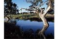 Property photo of 2 Yellow Gum Way Manor Lakes VIC 3024