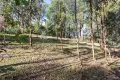 Property photo of 35 Paratoo Road Stirling SA 5152