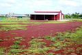 Property photo of 17 Mitchell Road Highfields QLD 4352