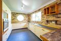 Property photo of 61 Balemo Drive Ocean Shores NSW 2483