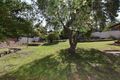 Property photo of 29 Dacres Street Vincentia NSW 2540